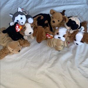 Beanie Baby Puppy Pack!